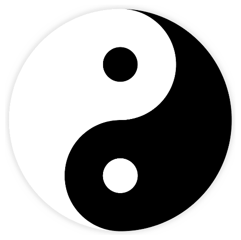 Massimo | Conseiller & consultant Feng Shui